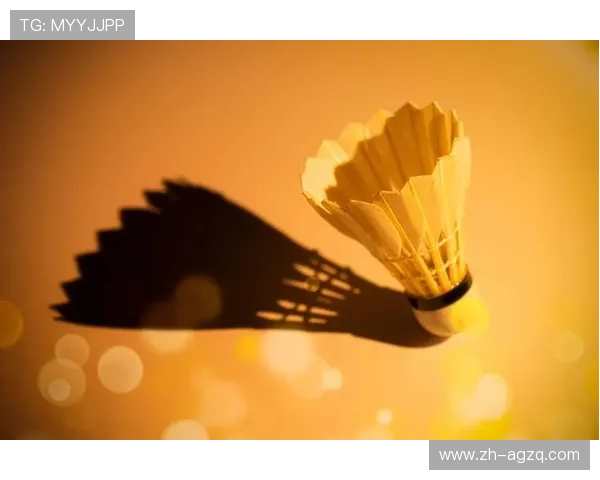 羽毛球俱乐部用什么球