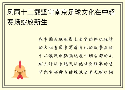 风雨十二载坚守南京足球文化在中超赛场绽放新生