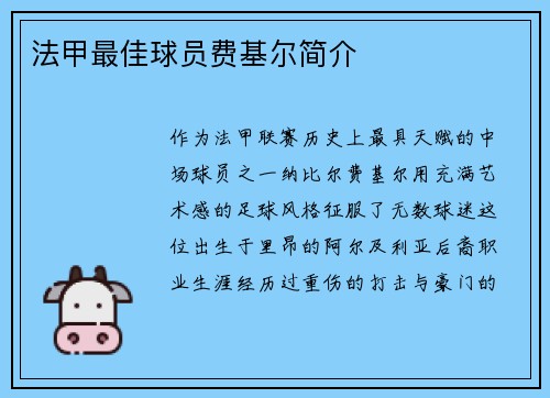 法甲最佳球员费基尔简介